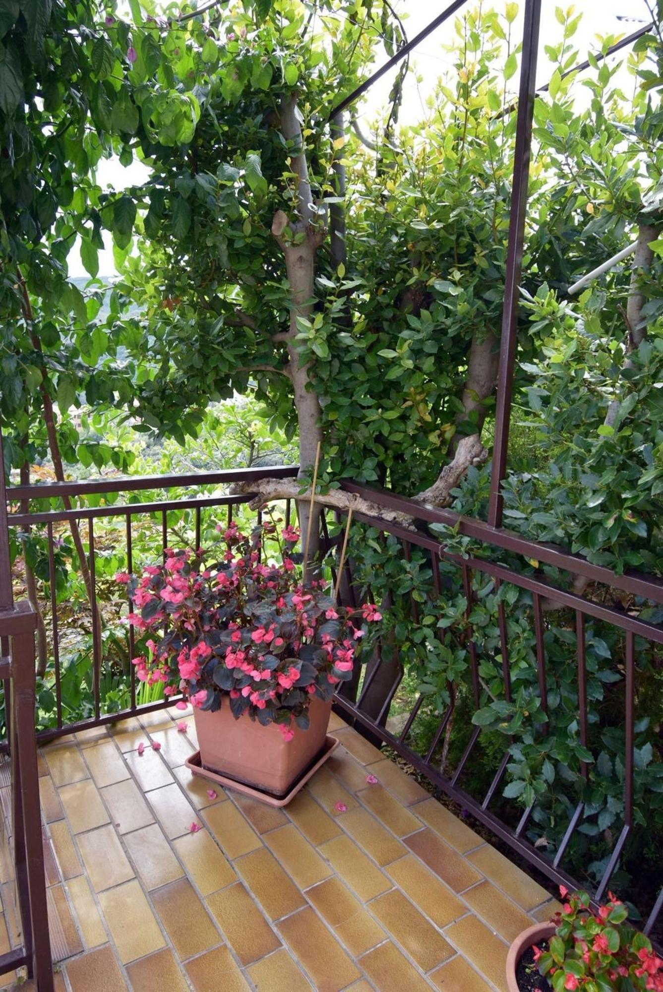 Apartment Neda In Rabac With Bay View エクステリア 写真